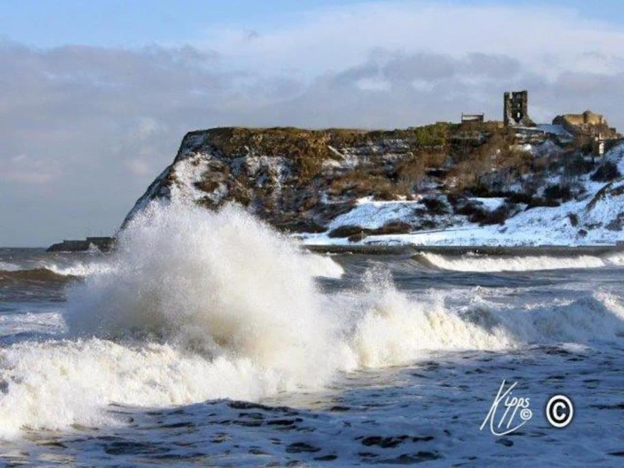 Lovely Semi-Beach 2X Pubs -5 Min Walk-Pets Welcome-Parking-Garden Scalby  Eksteriør billede